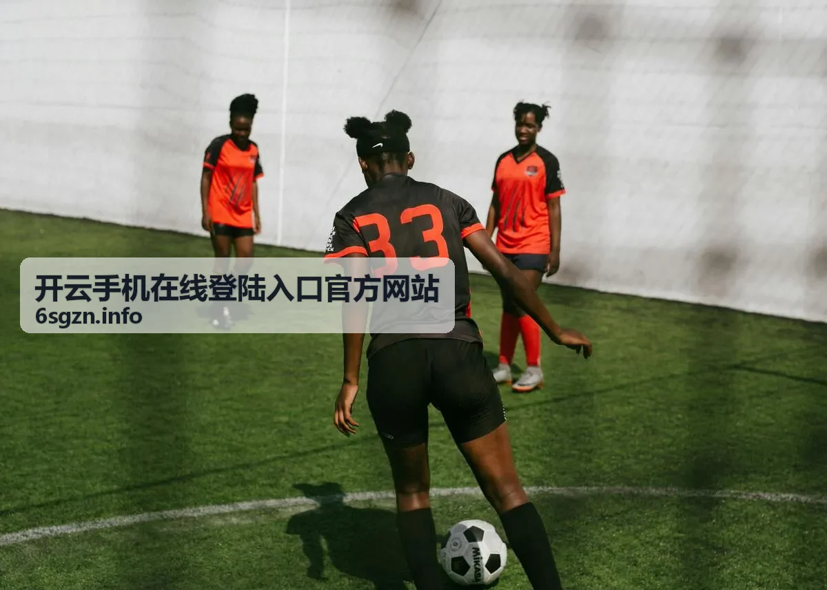 开云手机官方入口安全登录页面